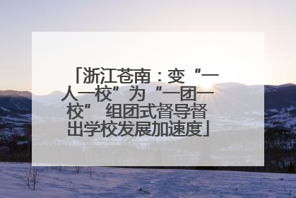浙江苍南：变“一人一校”为“一团一校” 组团式督导督出学校发展加速度