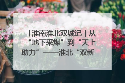 淮南淮北双城记｜从“地下采煤”到“天上助力”——淮北“双新”产业突围记