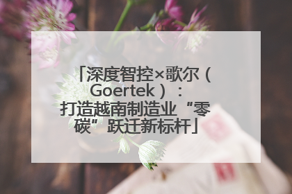 深度智控×歌尔（Goertek）：打造越南制造业“零碳”跃迁新标杆