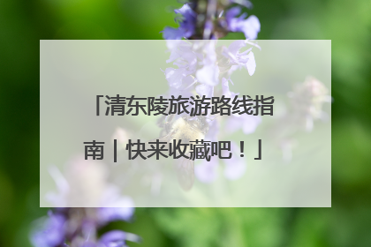 清东陵旅游路线指南｜快来收藏吧！