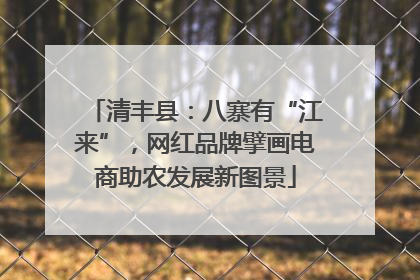 清丰县：八寨有“江来”，网红品牌擘画电商助农发展新图景