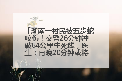 湖南一村民被五步蛇咬伤！交警26分钟冲破64公里生死线，医生：再晚20分钟或将呼吸肌麻痹