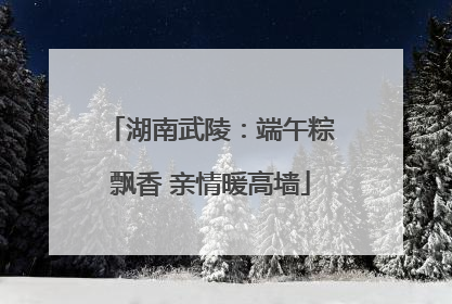 湖南武陵：端午粽飘香 亲情暖高墙