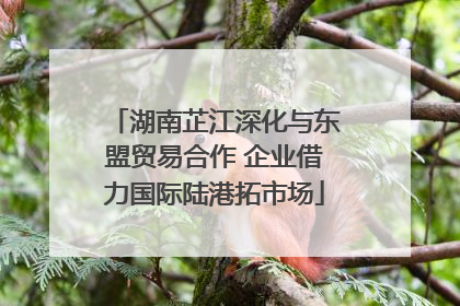 湖南芷江深化与东盟贸易合作 企业借力国际陆港拓市场