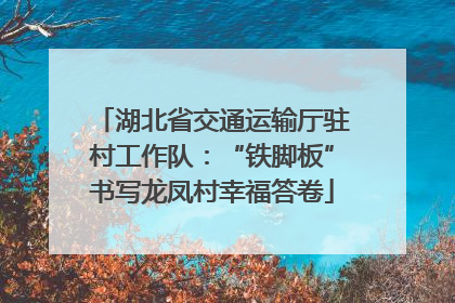 湖北省交通运输厅驻村工作队：“铁脚板”书写龙凤村幸福答卷
