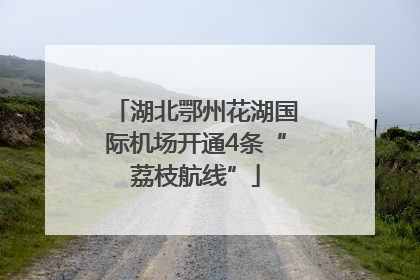 湖北鄂州花湖国际机场开通4条“荔枝航线”