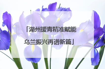 湖州援青精准赋能 乌兰振兴再谱新篇