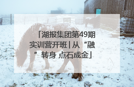 湖报集团第49期实训营开班│从“融”转身 点石成金