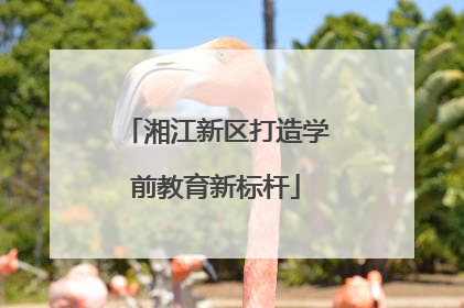 湘江新区打造学前教育新标杆