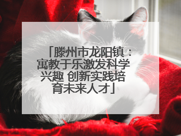 滕州市龙阳镇：寓教于乐激发科学兴趣 创新实践培育未来人才