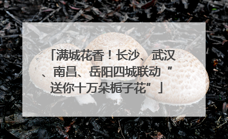 满城花香！长沙、武汉、南昌、岳阳四城联动“送你十万朵栀子花”