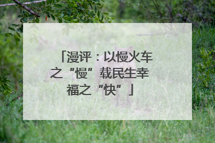 漫评：以慢火车之“慢”载民生幸福之“快”