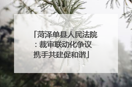 菏泽单县人民法院：裁审联动化争议 携手共建促和谐