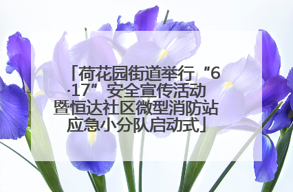 荷花园街道举行“6·17”安全宣传活动暨恒达社区微型消防站应急小分队启动式