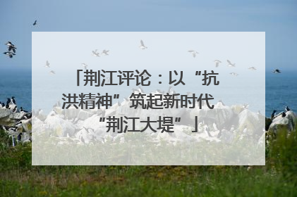 荆江评论：以“抗洪精神”筑起新时代“荆江大堤”