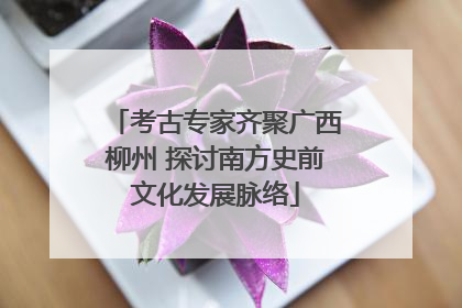 考古专家齐聚广西柳州 探讨南方史前文化发展脉络