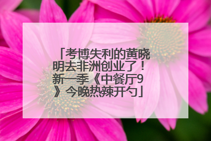 考博失利的黄晓明去非洲创业了！新一季《中餐厅9》今晚热辣开勺