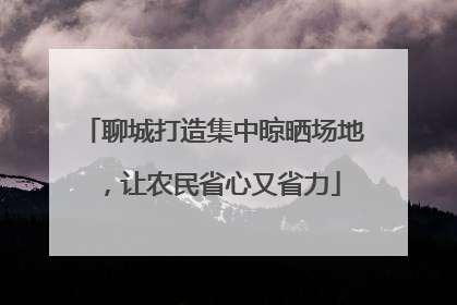 聊城打造集中晾晒场地，让农民省心又省力