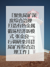 聚焦尾矿深度综合治理 打造有色金属循环经济新模式 张金良一行调研栾川县尾矿库综合治理工作