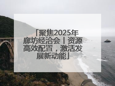 聚焦2025年廊坊经洽会丨资源高效配置，激活发展新动能