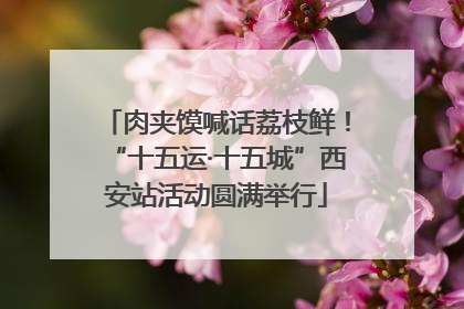 肉夹馍喊话荔枝鲜！“十五运·十五城”西安站活动圆满举行