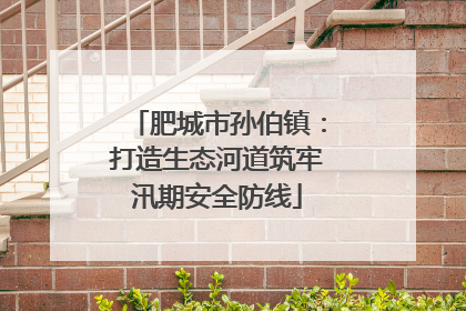 肥城市孙伯镇：打造生态河道筑牢汛期安全防线
