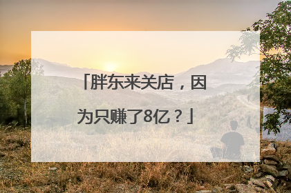 胖东来关店，因为只赚了8亿？