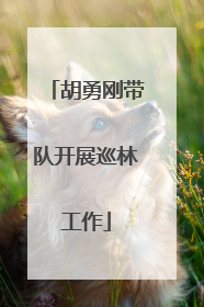 胡勇刚带队开展巡林工作