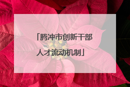 腾冲市创新干部人才流动机制