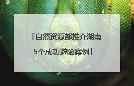 自然资源部推介湖南5个成功避险案例