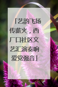 艺韵飞扬传薪火，西厂口社区文艺汇演奏响爱党强音