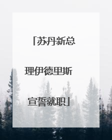 苏丹新总理伊德里斯宣誓就职