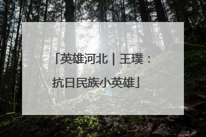 英雄河北｜王璞：抗日民族小英雄