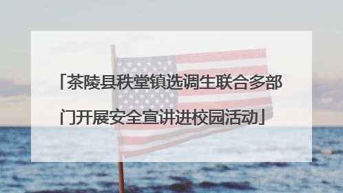 茶陵县秩堂镇选调生联合多部门开展安全宣讲进校园活动