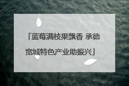 蓝莓满枝果飘香 承德宽城特色产业助振兴