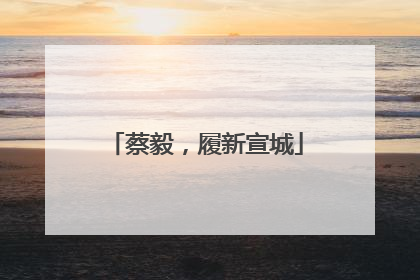 蔡毅，履新宣城
