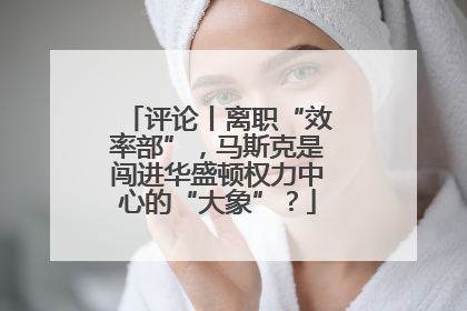 评论丨离职“效率部”，马斯克是闯进华盛顿权力中心的“大象”？