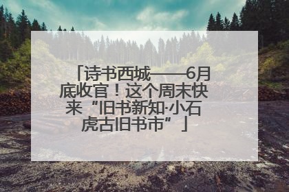 诗书西城——6月底收官！这个周末快来“旧书新知·小石虎古旧书市”