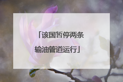 该国暂停两条输油管道运行