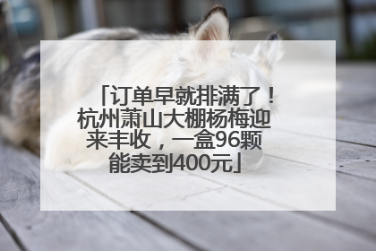 订单早就排满了！杭州萧山大棚杨梅迎来丰收，一盒96颗能卖到400元