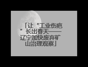 让“工业伤疤”长出春天——辽宁加快废弃矿山治理观察