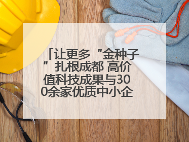 让更多“金种子”扎根成都 高价值科技成果与300余家优质中小企业精准对接