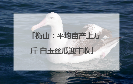衡山：平均亩产上万斤 白玉丝瓜迎丰收