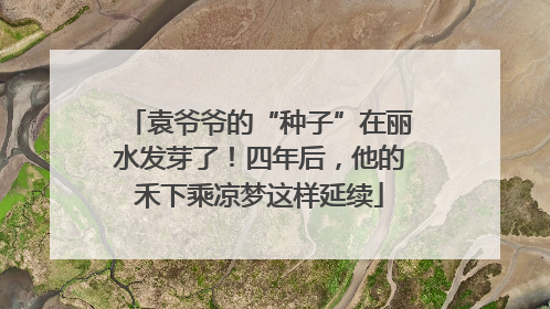 袁爷爷的“种子”在丽水发芽了！四年后，他的禾下乘凉梦这样延续