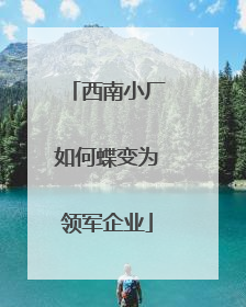 西南小厂如何蝶变为领军企业