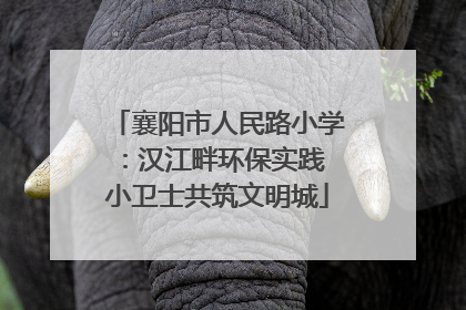 襄阳市人民路小学：汉江畔环保实践 小卫士共筑文明城