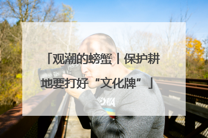 观潮的螃蟹丨保护耕地要打好“文化牌”