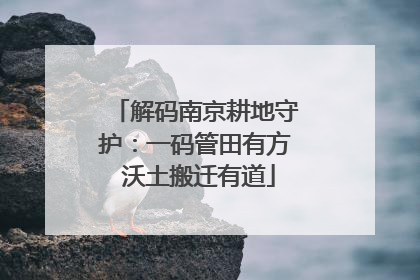 解码南京耕地守护：一码管田有方 沃土搬迁有道