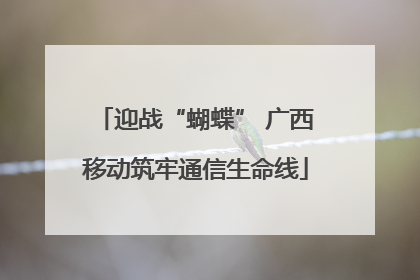 迎战“蝴蝶” 广西移动筑牢通信生命线