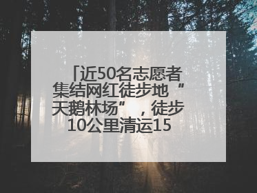 近50名志愿者集结网红徒步地“天鹅林场”,徒步10公里清运150余斤山野垃圾